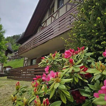Il Rododendro Apartment Ponte Di Legno