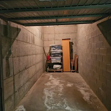 Rododendro Ponte Di Legno